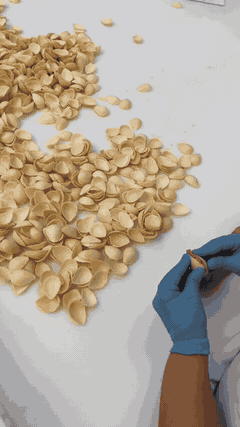 Animación de 22 segundos con la elaboración manual de almendritas rellenas de turrón a la piedra