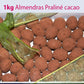 Almendras con praliné de chocolate blanco cubiertas de cacao 1KG
