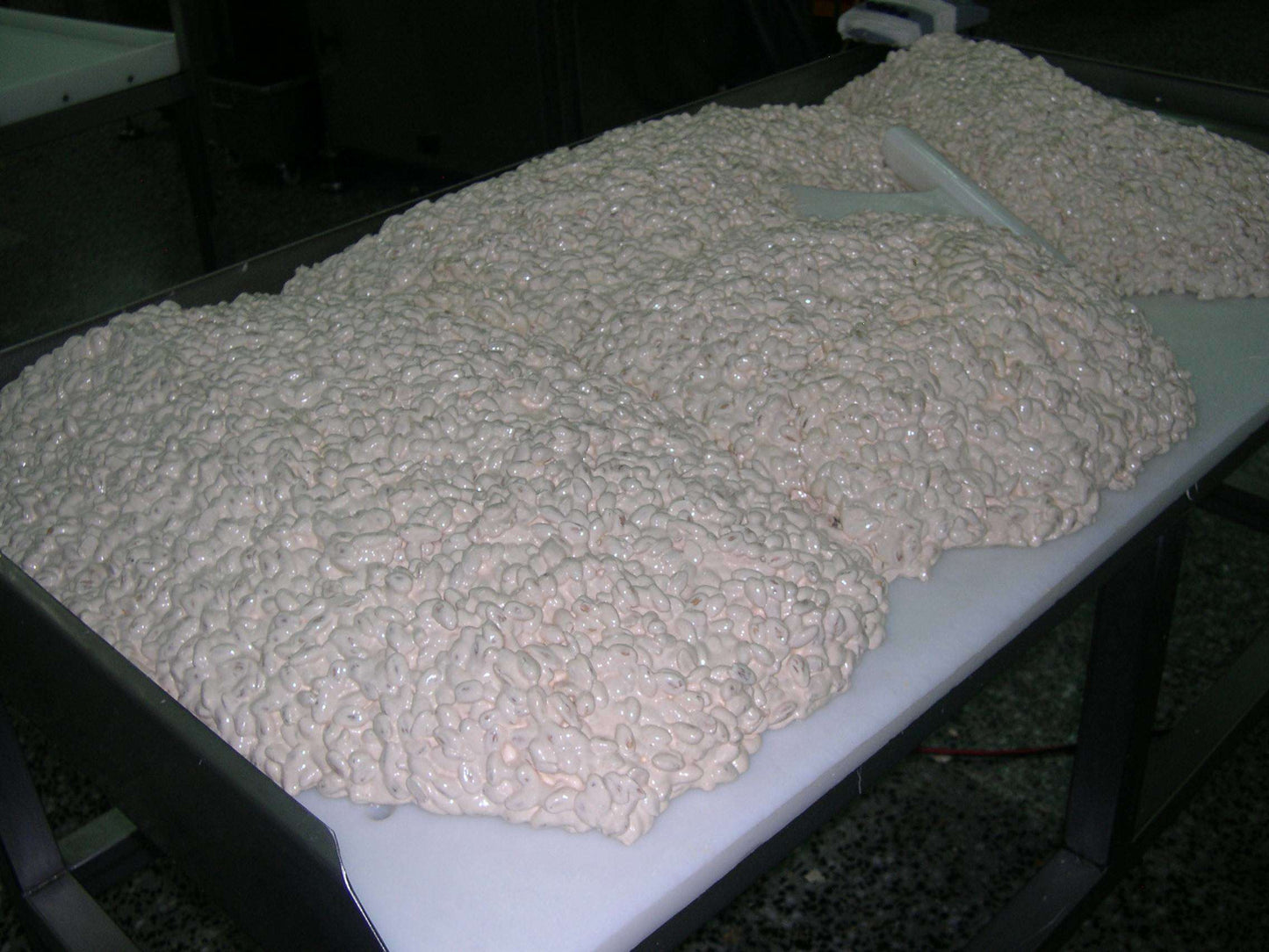 Caja de 12 unidades de Tortas de Turrón Duro Pico Sin Azucares Añadidos 150grs