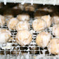 Nueces al Fondant 200g
