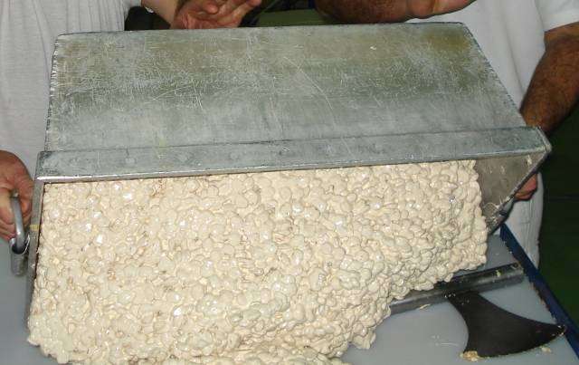 haciendo turron de Alicante